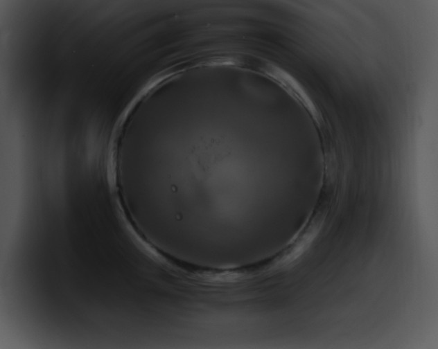 X0000100400851200806061314