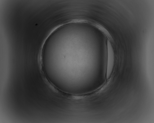X0000100400852200806061314