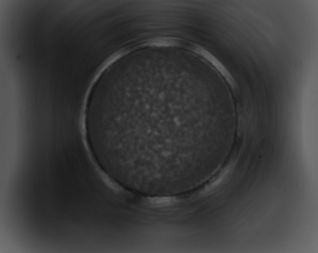 X0000100400853200806061314