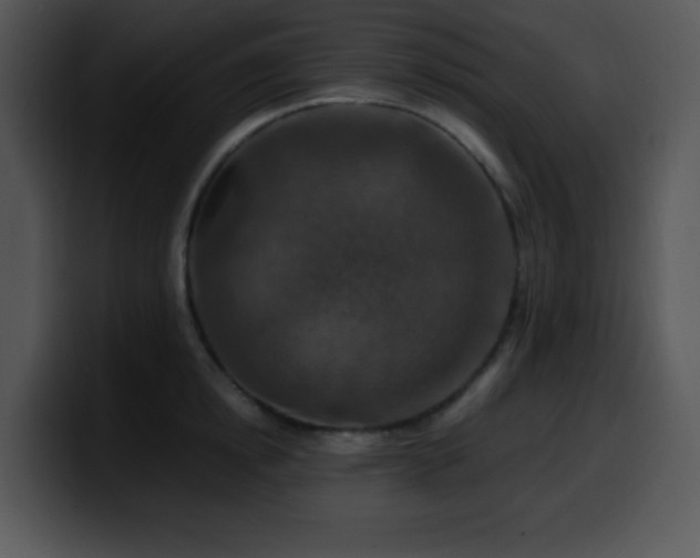 X0000100400854200806061314