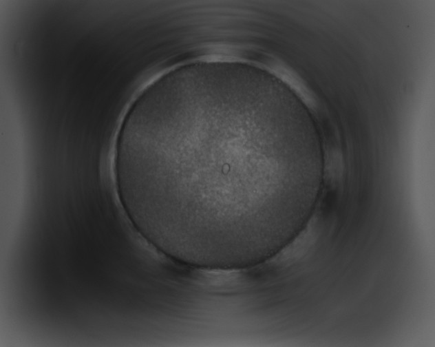 X0000100400856200806061314