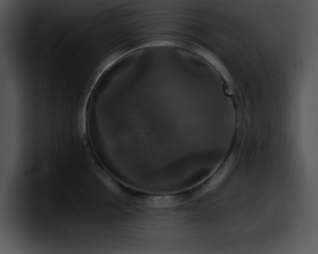 X0000100400858200806061314