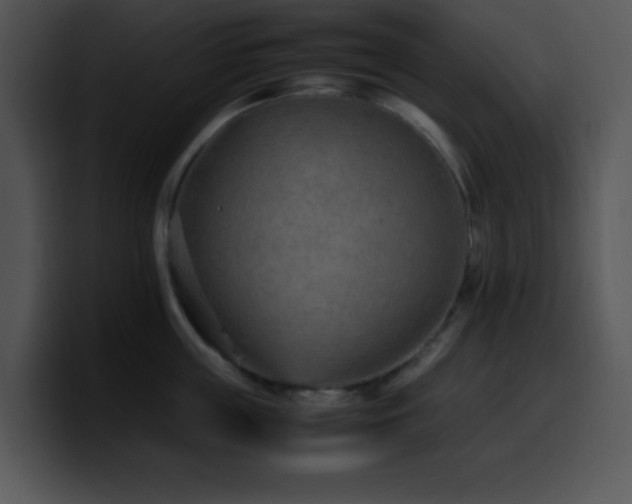 X0000100400859200806061314