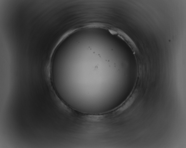 X0000100400860200806061314