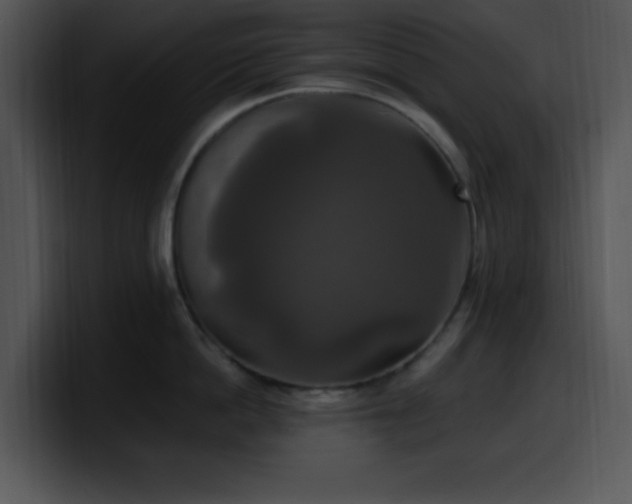 X0000100400862200806061314