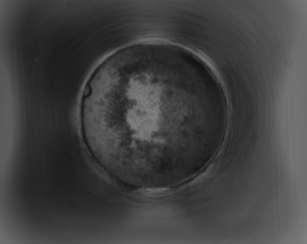 X0000100400864200806061315