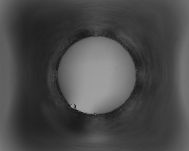 X0000100400865200806061314
