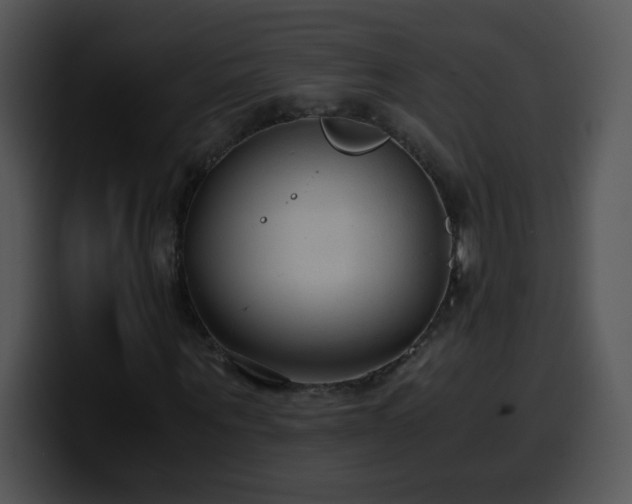 X0000100400867200806061314