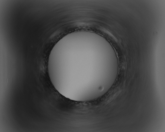 X0000100400869200806061314