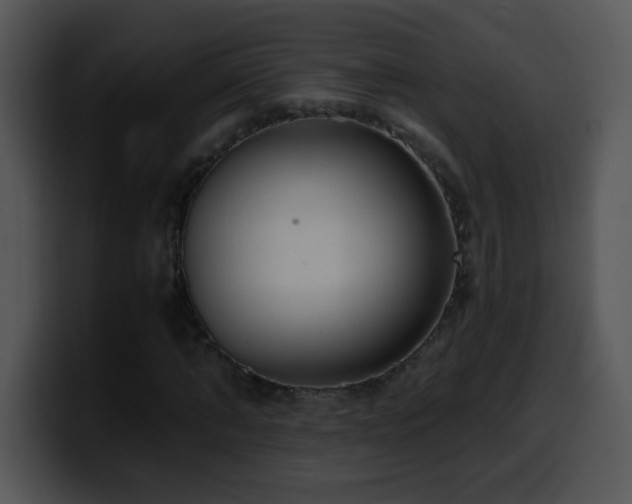 X0000100400870200806061314