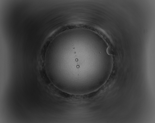 X0000100400871200806061314
