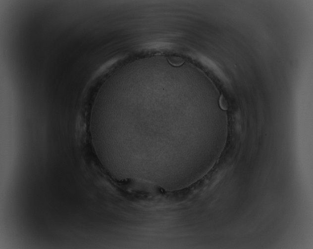 X0000100400872200806061314