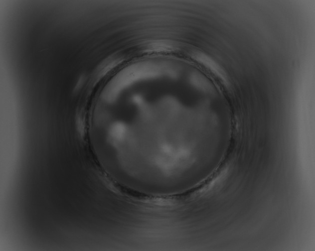 X0000100400874200806061314