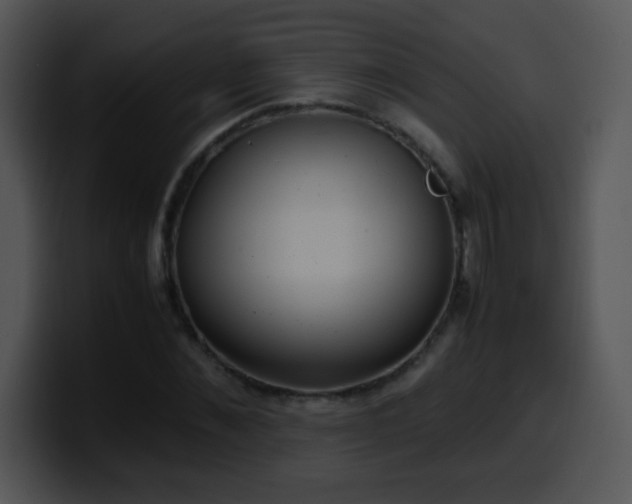 X0000100400876200806061314
