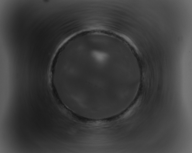 X0000100400879200806061314