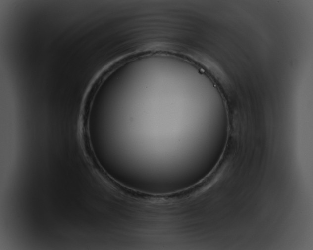 X0000100400880200806061314