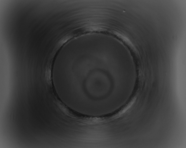 X0000100400881200806061314