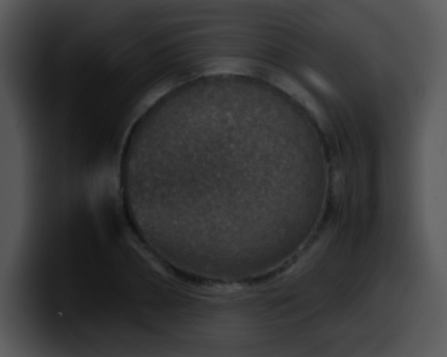 X0000100400882200806061314