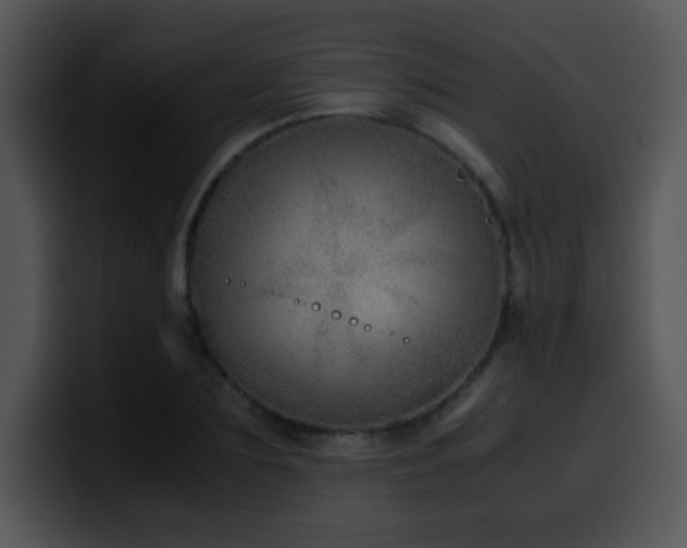 X0000100400883200806061314