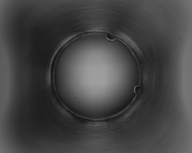 X0000100400884200806061314
