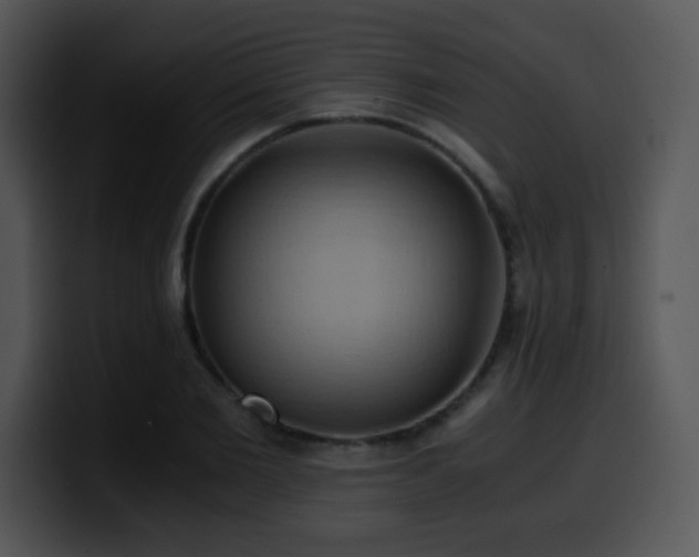 X0000100400885200806061314