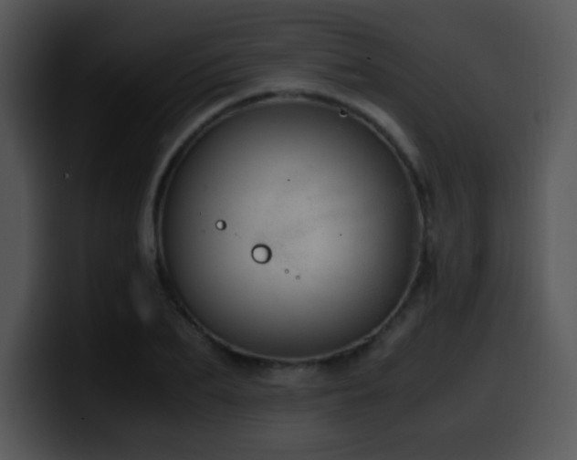 X0000100400887200806061314