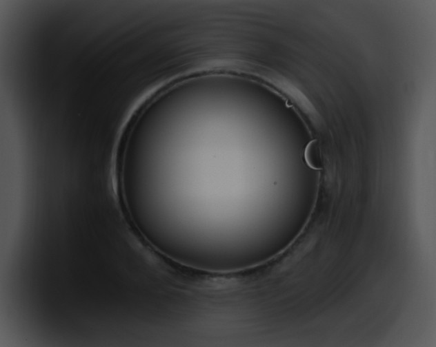 X0000100400888200806061314