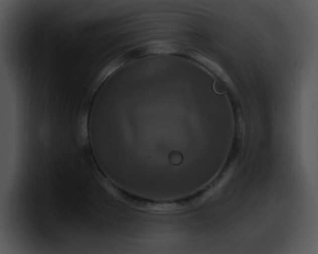 X0000100400889200806061314