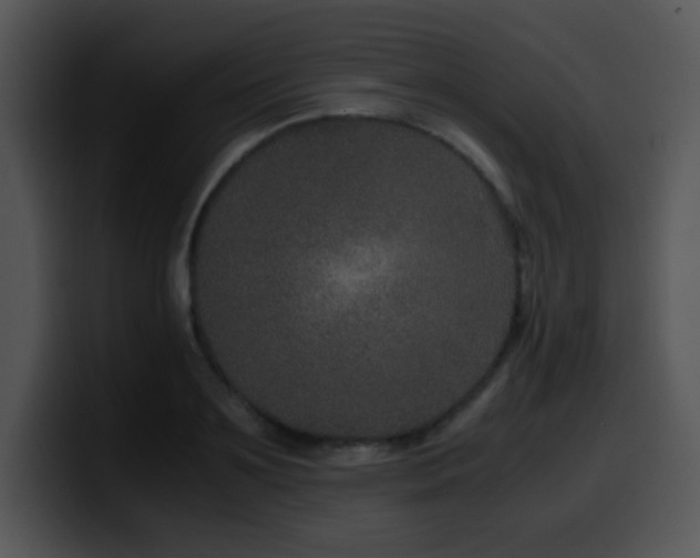X0000100400891200806061314
