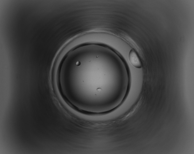 X0000100400892200806061313