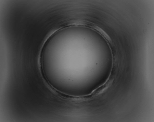 X0000100400893200806061313