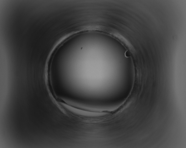 X0000100400894200806061313