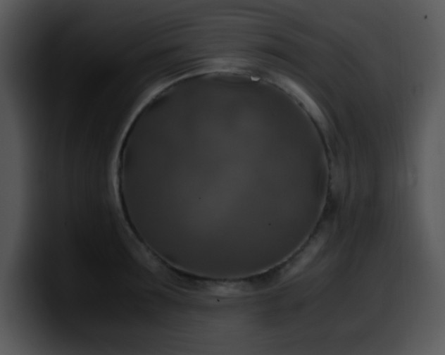 X0000100400899200806061313
