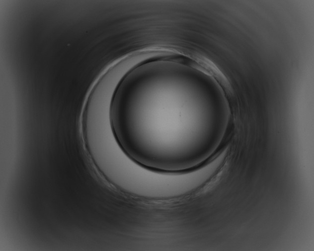 X0000100400900200806061313