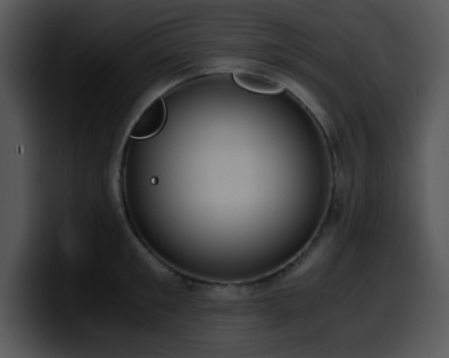 X0000100400901200806061313