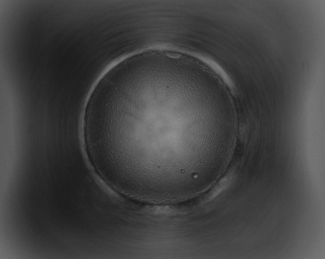 X0000100400903200806061313