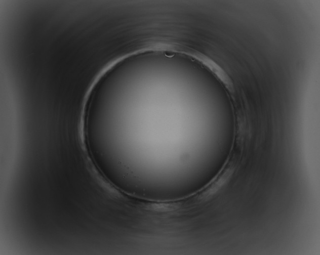 X0000100400904200806061313