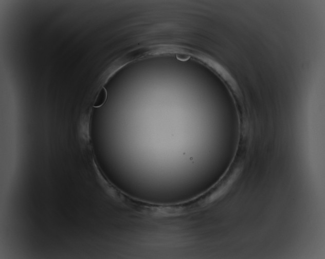 X0000100400905200806061313