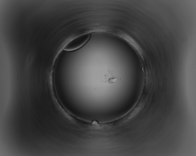 X0000100400906200806061313