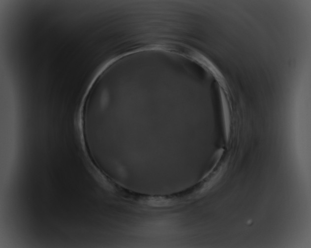 X0000100400907200806061313