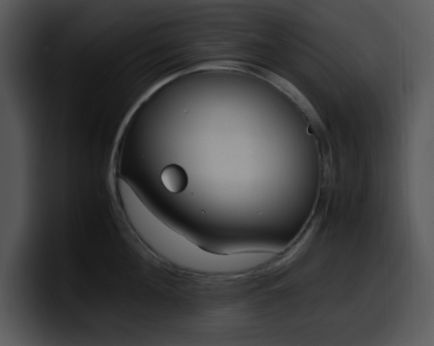 X0000100400908200806061313