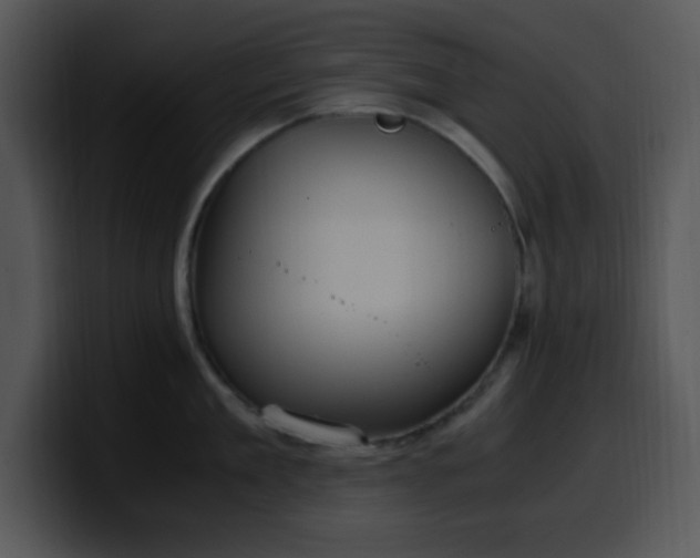 X0000100400909200806061313
