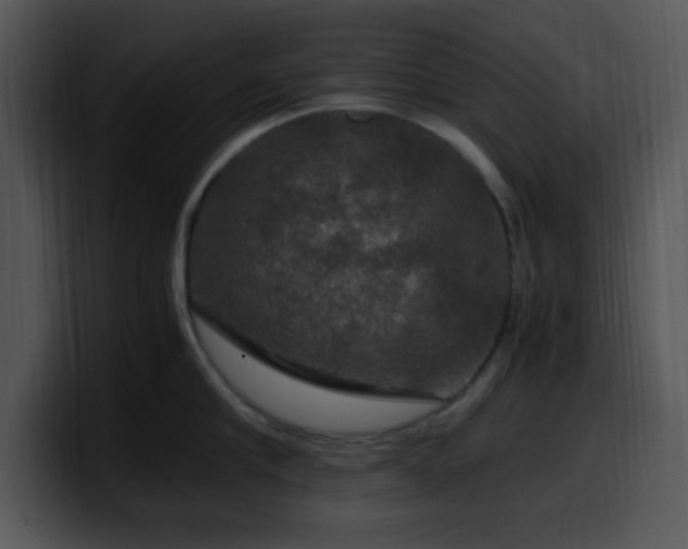 X0000100400910200806061313