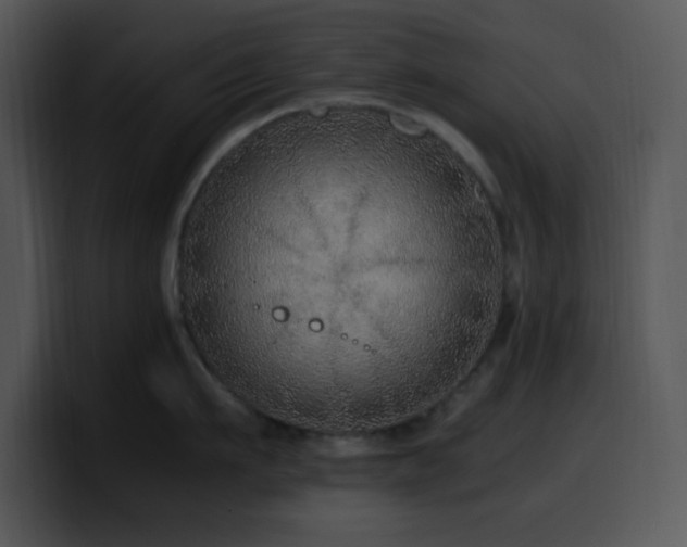 X0000100400911200806061313