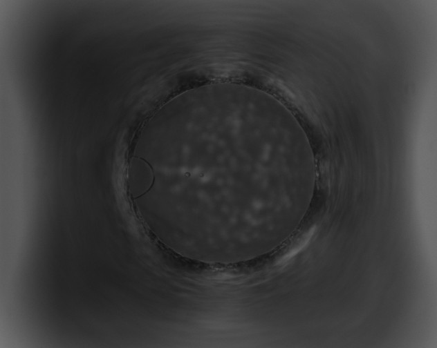 X0000100400913200806061313