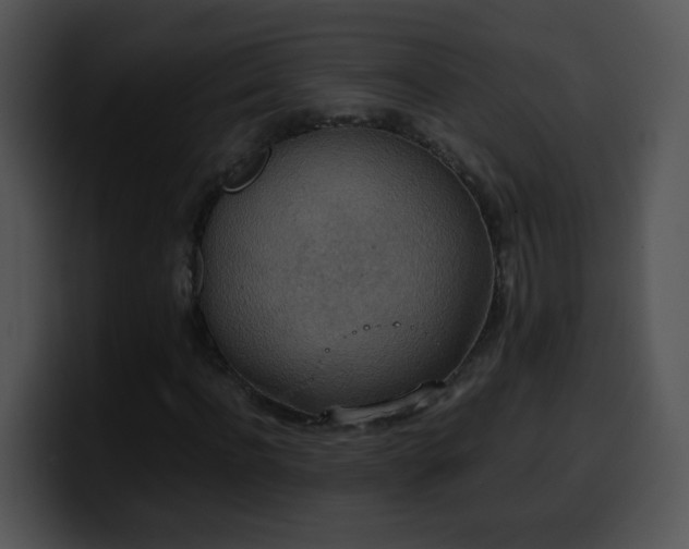 X0000100400916200806061313