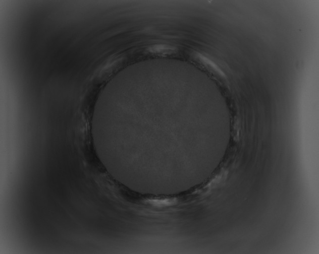 X0000100400917200806061313