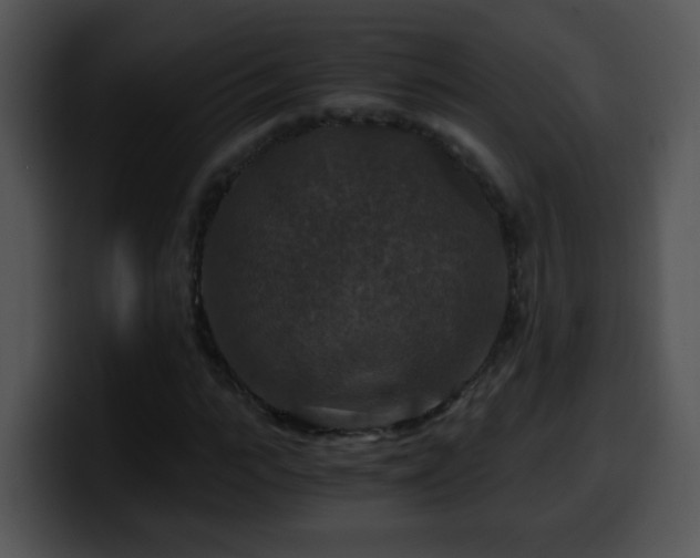 X0000100400919200806061313