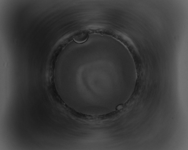 X0000100400920200806061313