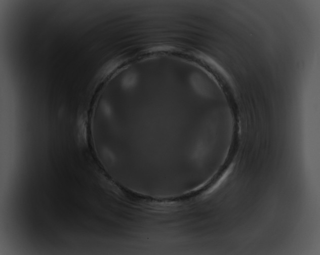 X0000100400921200806061313